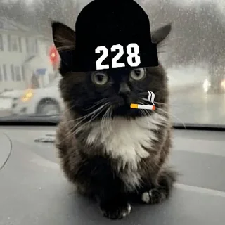 Стикер 3 Чмоня