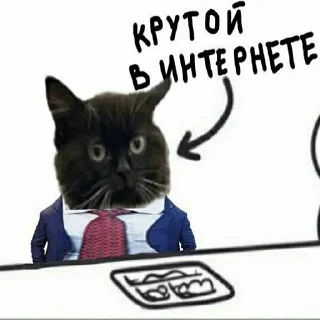 Стикер 35 Чмоня