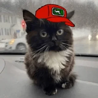 Стикер 23 Чмоня
