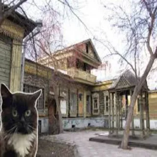 Стикер 61 Чмоня