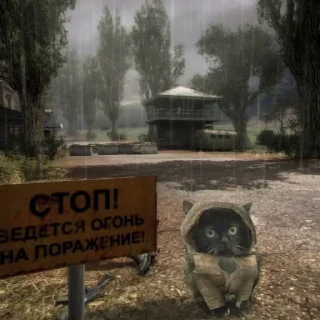 Стикер 52 Чмоня