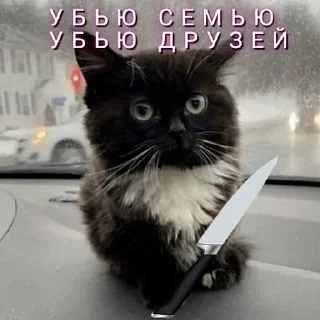 Стикер 10 Чмоня