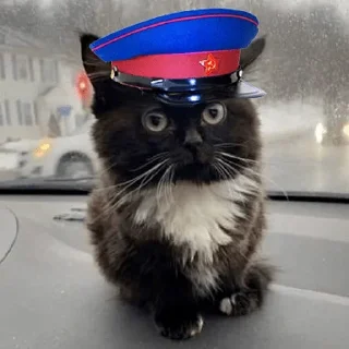 Стикер 7 Чмоня