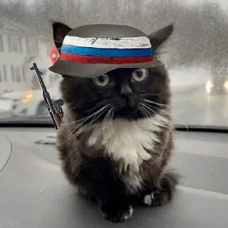 Стикер 27 Чмоня