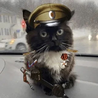 Стикер 15 Чмоня
