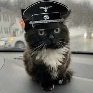 Стикер 11 Чмоня