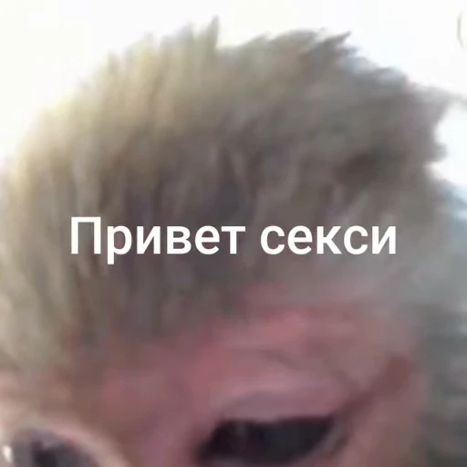 😎 Стикер «sawastik» для Telegram