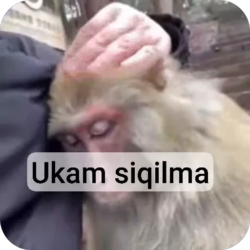 🌟 Стикер «sawastik» для Telegram