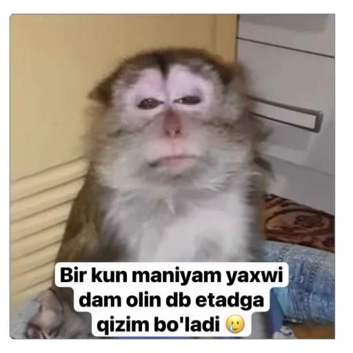 🌟 Стикер «sawastik» для Telegram