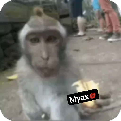 🤩 Стикер «sawastik» для Telegram