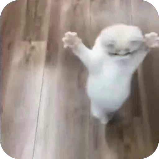 🕺 Стикер «sawastik» для Telegram