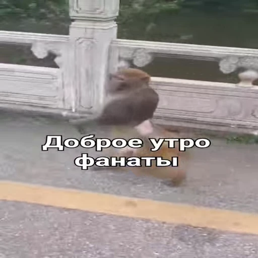 ☀️ Стикер «sawastik» для Telegram