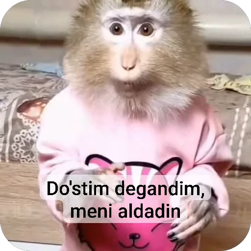 🤩 Стикер «sawastik» для Telegram