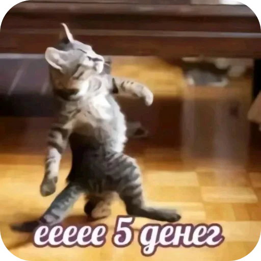 🐶 Стикер «Чьотєнькі стікери» для Telegram