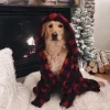 Стикер 32 Новогодние Собаки