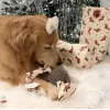 Стикер 9 Новогодние Собаки