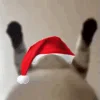 Стикер 12 Новогодний рандом пак