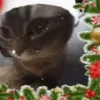 Стикер 35 Новогодний рандом пак