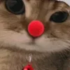 Стикер 26 Новогодний рандом пак