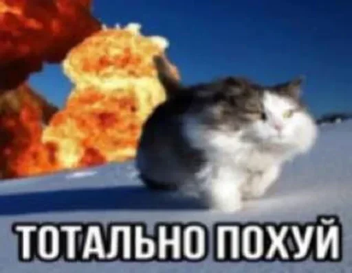 🌟 Стикер «Эта што» для Telegram