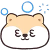 Стикер 13 Circle Fox