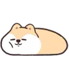 Стикер 19 Circle Fox