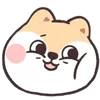 Стикер 22 Circle Fox
