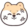 Стикер 44 Circle Fox