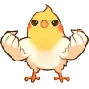 Стикер 53 Coca Bird