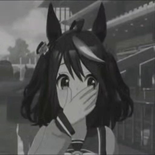 🫢 Стикер «umamusume collection» для Telegram