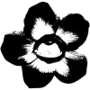 🤩 Эмодзи «Black Color» для Telegram