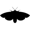 🤩 Эмодзи «Black Color» для Telegram