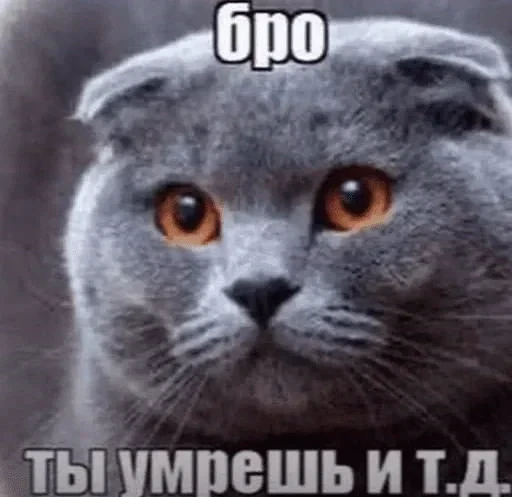 🌟 Стикер «Comfort+» для Telegram
