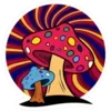 Стикер 31 Magic Mushroom