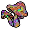 Стикер 15 Magic Mushroom