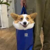 🤩 Эмодзи «Corgi» для Telegram
