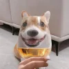 🤩 Эмодзи «Corgi» для Telegram