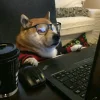 🤩 Эмодзи «Corgi» для Telegram