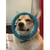 🤩 Эмодзи «Corgi» для Telegram