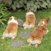 🤩 Эмодзи «Corgi» для Telegram