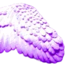 Стикер 42 #purple #decor