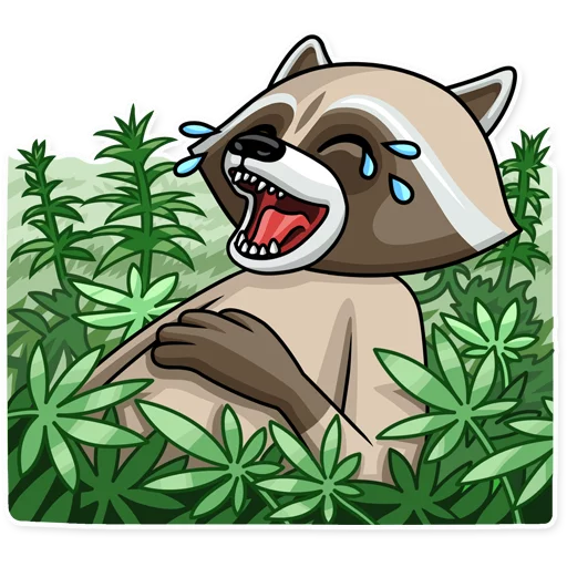 Стикерпак Criminal Raccoon для Telegram — скачать