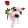 Стикер 7 🤩 Cute random