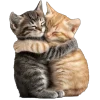Обложка набора 🤩 Cute random