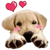 Стикер 6 🤩 Cute random