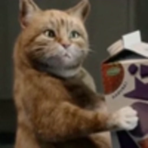🤤 Эмодзи «Cute Cats part 2Милые котики часть 2» для Telegram