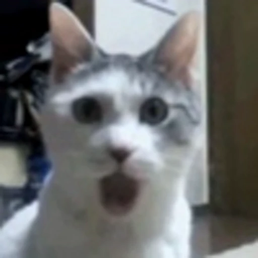 😱 Эмодзи «Cute Cats part 2Милые котики часть 2» для Telegram