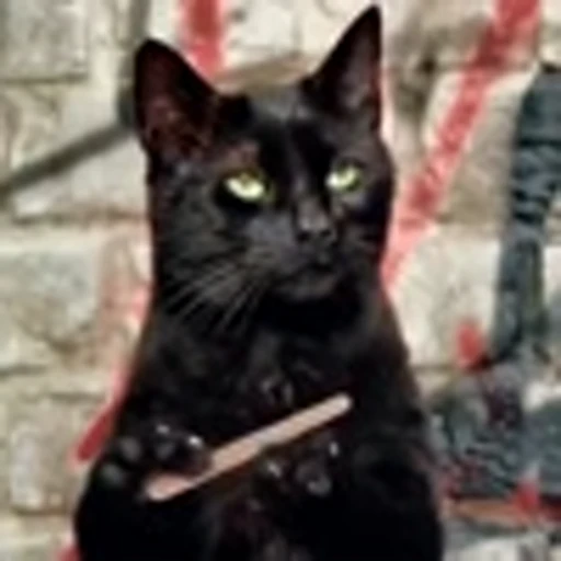🧐 Эмодзи «Cute Cats part 2Милые котики часть 2» для Telegram
