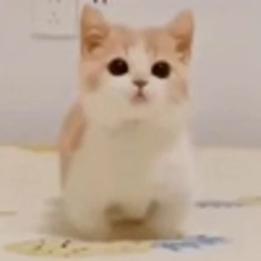 ☺️ Эмодзи «Cute Cats part 2Милые котики часть 2» для Telegram