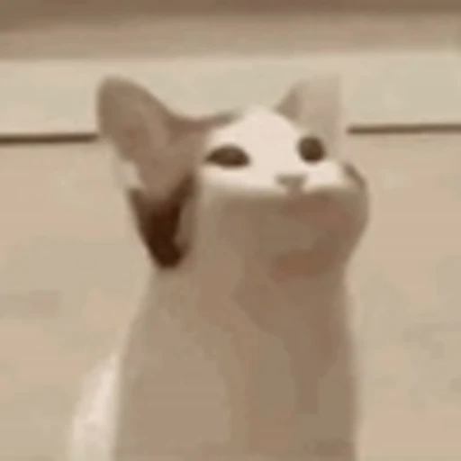 😂 Эмодзи «Cute Cats part 2Милые котики часть 2» для Telegram